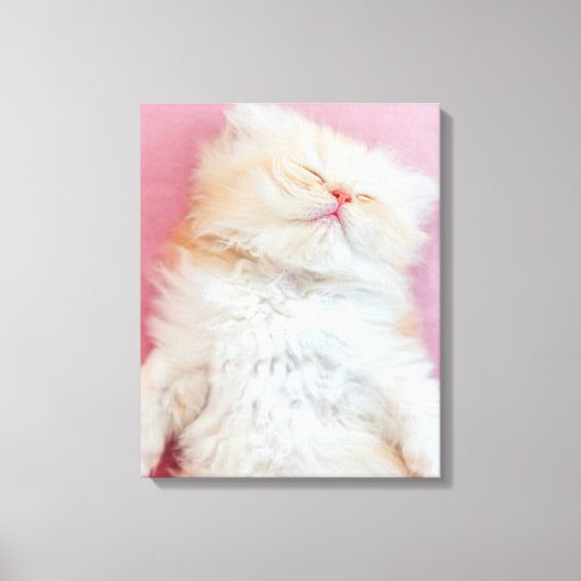 Cutest Baby Animals | Lovely Kitten Sleeping Canvas Afdruk (Voorkant)