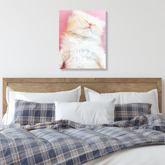 Cutest Baby Animals | Lovely Kitten Sleeping Canvas Afdruk (Insitu (Slaapkamer))