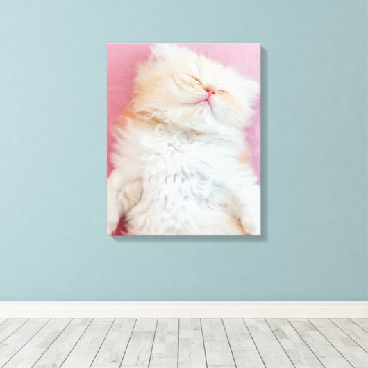 Cutest Baby Animals | Lovely Kitten Sleeping Canvas Afdruk (Insitu (Houten vloer))