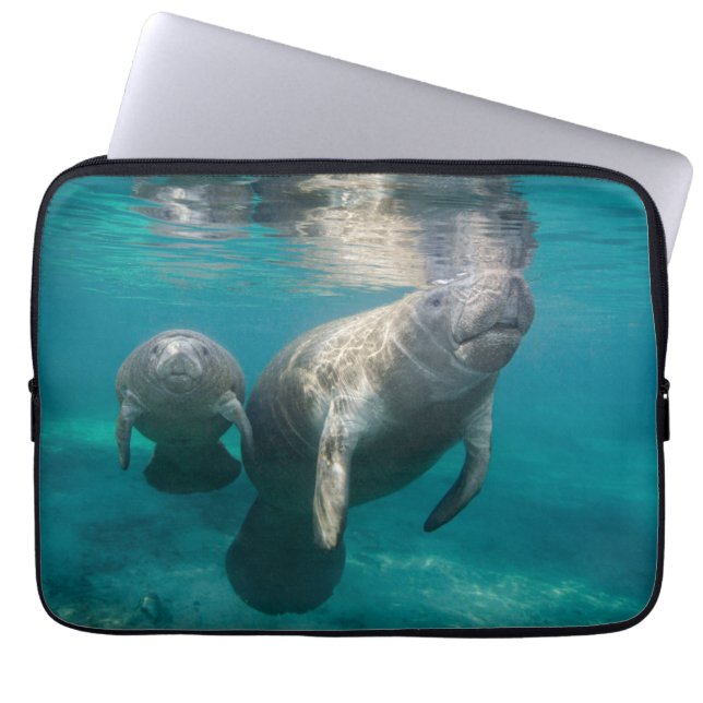 Cutest Baby Animals | Manatee & Baby Laptop Sleeve (Voorkant)