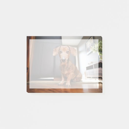 Cutest Baby Animals | Mini Dachshund Puppy Post-it® Notes (Voorkant)