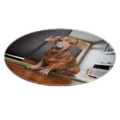 Cutest Baby Animals | Mini Dachshund Puppy Snijplank (Hoek)