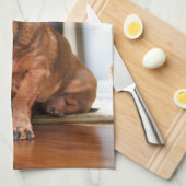 Cutest Baby Animals | Mini Dachshund Puppy Theedoek (Quarter Fold)