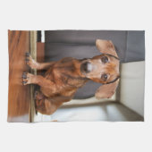 Cutest Baby Animals | Mini Dachshund Puppy Theedoek (Horizontaal)