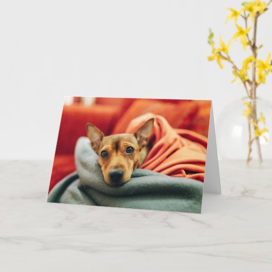 Cutest Baby Animals | Miniature Pinscher Kaart (Gele Bloem)