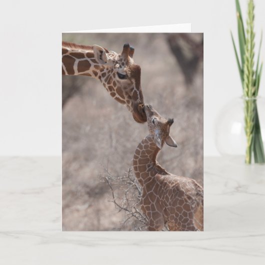 Cutest Baby Animals | Mother and Baby Giraffe Kaart (Voorkant)