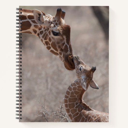 Cutest Baby Animals | Mother and Baby Giraffe Notitieboek (Voorkant)