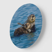 Cutest Baby Animals | Mother & Baby Sea Otter Grote Klok (Hoek)