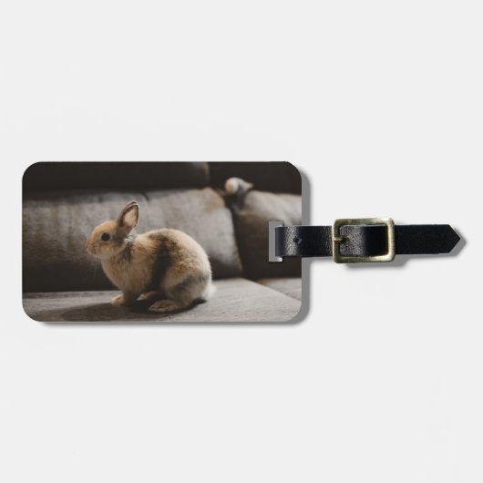 Cutest Baby Animals | Netherland Dwarf Rabbit Bagagelabel (Voorkant horizontaal)