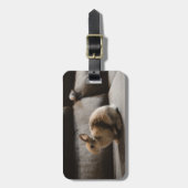 Cutest Baby Animals | Netherland Dwarf Rabbit Bagagelabel (Voorkant verticaal)