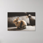 Cutest Baby Animals | Netherland Dwarf Rabbit Canvas Afdruk (Voorkant)