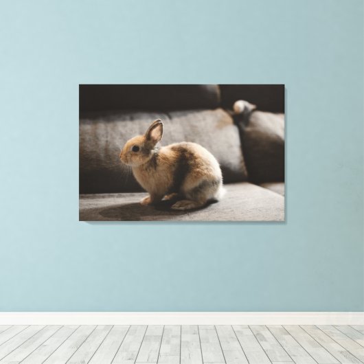 Cutest Baby Animals | Netherland Dwarf Rabbit Canvas Afdruk (Insitu (Houten vloer))