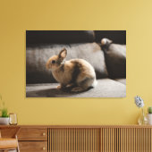 Cutest Baby Animals | Netherland Dwarf Rabbit Canvas Afdruk (Insitu (Woonkamer))