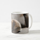 Cutest Baby Animals | Netherland Dwarf Rabbit Koffiemok (Voorkant rechts)