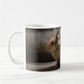 Cutest Baby Animals | Netherland Dwarf Rabbit Koffiemok (Links)