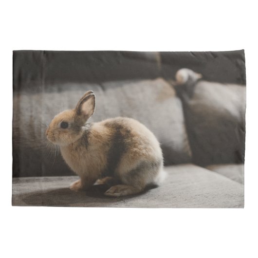 Cutest Baby Animals | Netherland Dwarf Rabbit Kussensloop (Achterkant)