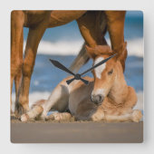 Cutest Baby Animals | Newborn Corolla Wild Horse Vierkante Klok (Voorkant)
