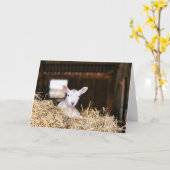 Cutest Baby Animals | Newborn Lamb Kaart (Gele Bloem)