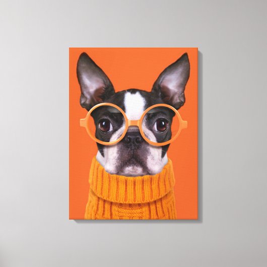 Cutest Baby Animals | Orange Boston Terrier Canvas Afdruk (Voorkant)