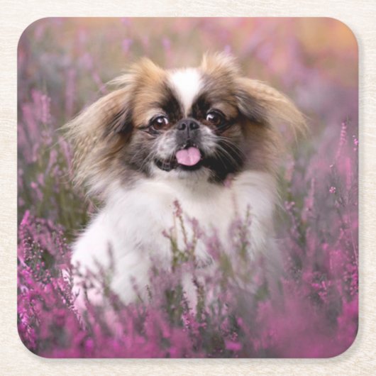 Cutest Baby Animals | Pekingese Puppy Kartonnen Onderzetters (Voorkant)