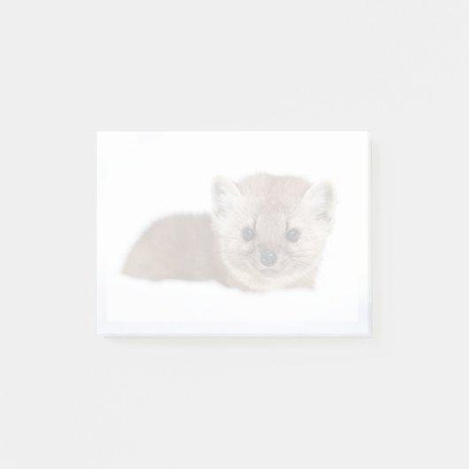 Cutest Baby Animals | Pine Marten Post-it® Notes (Voorkant)