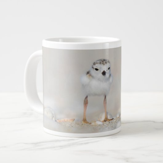 Cutest Baby Animals | Piping Plover Chick Grote Koffiekop (Links)