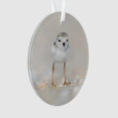 Cutest Baby Animals | Piping Plover Chick Ornament (voorkant)
