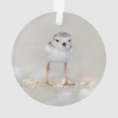 Cutest Baby Animals | Piping Plover Chick Ornament (achterkant)
