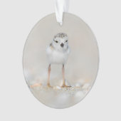 Cutest Baby Animals | Piping Plover Chick Ornament (voorkant)