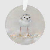 Cutest Baby Animals | Piping Plover Chick Ornament (voorkant)