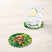 Cutest Baby Animals | Pointer Puppy Ronde Kartonnen Onderzetter (Insitu)