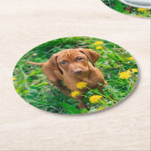 Cutest Baby Animals | Pointer Puppy Ronde Kartonnen Onderzetter (Gebogen)