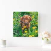 Cutest Baby Animals | Pointer Puppy Vierkante Klok (Huis)