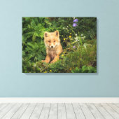 Cutest Baby Animals | Red Fox at Umnak Alaska Canvas Afdruk (Insitu (Houten vloer))
