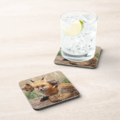 Cutest Baby Animals | Red Fox & Baby Bier Onderzetter (Rechterzijde)