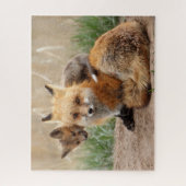 Cutest Baby Animals | Red Fox & Baby Legpuzzel (Verticaal)