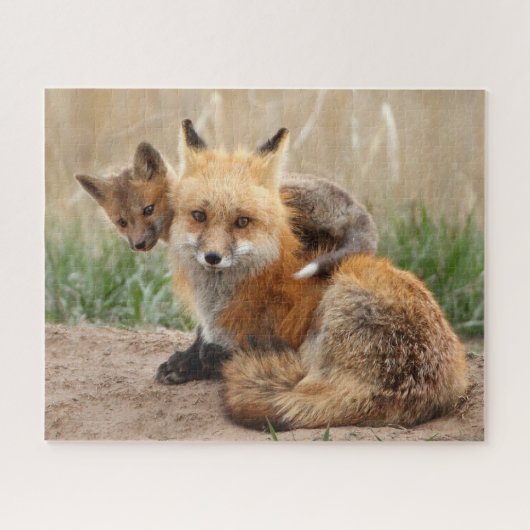 Cutest Baby Animals | Red Fox & Baby Legpuzzel (Horizontaal)