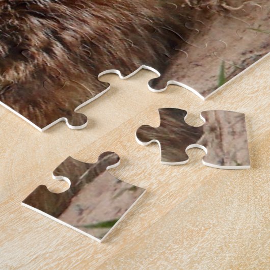 Cutest Baby Animals | Red Fox & Baby Legpuzzel (Zijkant)