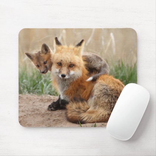 Cutest Baby Animals | Red Fox & Baby Muismat (Met muis)
