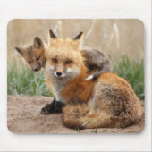 Cutest Baby Animals | Red Fox & Baby Muismat (Voorkant)