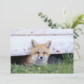 Cutest Baby Animals | Red Fox Kit Peeking Bedankkaart (Staand voorkant)