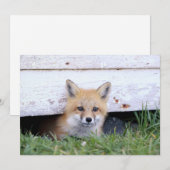 Cutest Baby Animals | Red Fox Kit Peeking Bedankkaart (Voorkant / Achterkant)