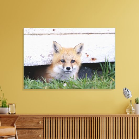 Cutest Baby Animals | Red Fox Kit Peeking Canvas Afdruk (Insitu (Woonkamer))