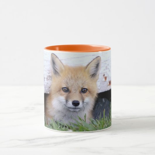 Cutest Baby Animals | Red Fox Kit Peeking Mok (Midden)