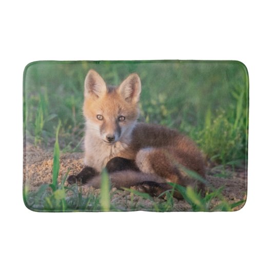 Cutest Baby Animals | Red Fox Kit Relaxing Badmat (Voorkant)