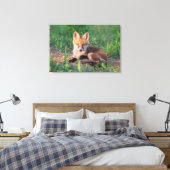 Cutest Baby Animals | Red Fox Kit Relaxing Canvas Afdruk (Insitu (Slaapkamer))
