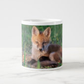 Cutest Baby Animals | Red Fox Kit Relaxing Grote Koffiekop (Voorkant)