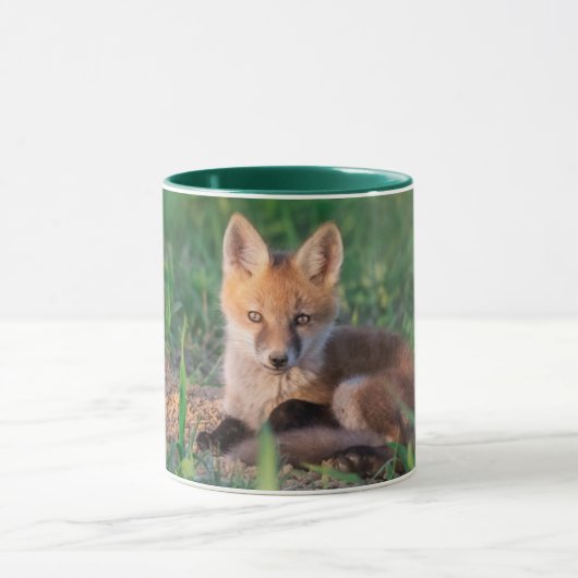 Cutest Baby Animals | Red Fox Kit Relaxing Mok (Midden)