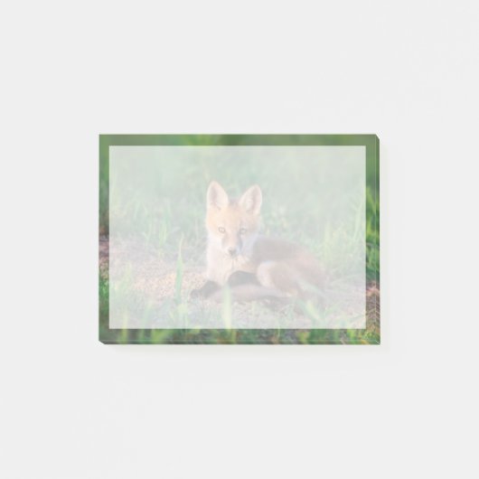 Cutest Baby Animals | Red Fox Kit Relaxing Post-it® Notes (Voorkant)