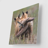 Cutest Baby Animals | Red Fox Kits Locking Tails Vierkante Klok (Hoek)